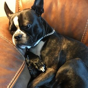 Meet your Posher, Jay